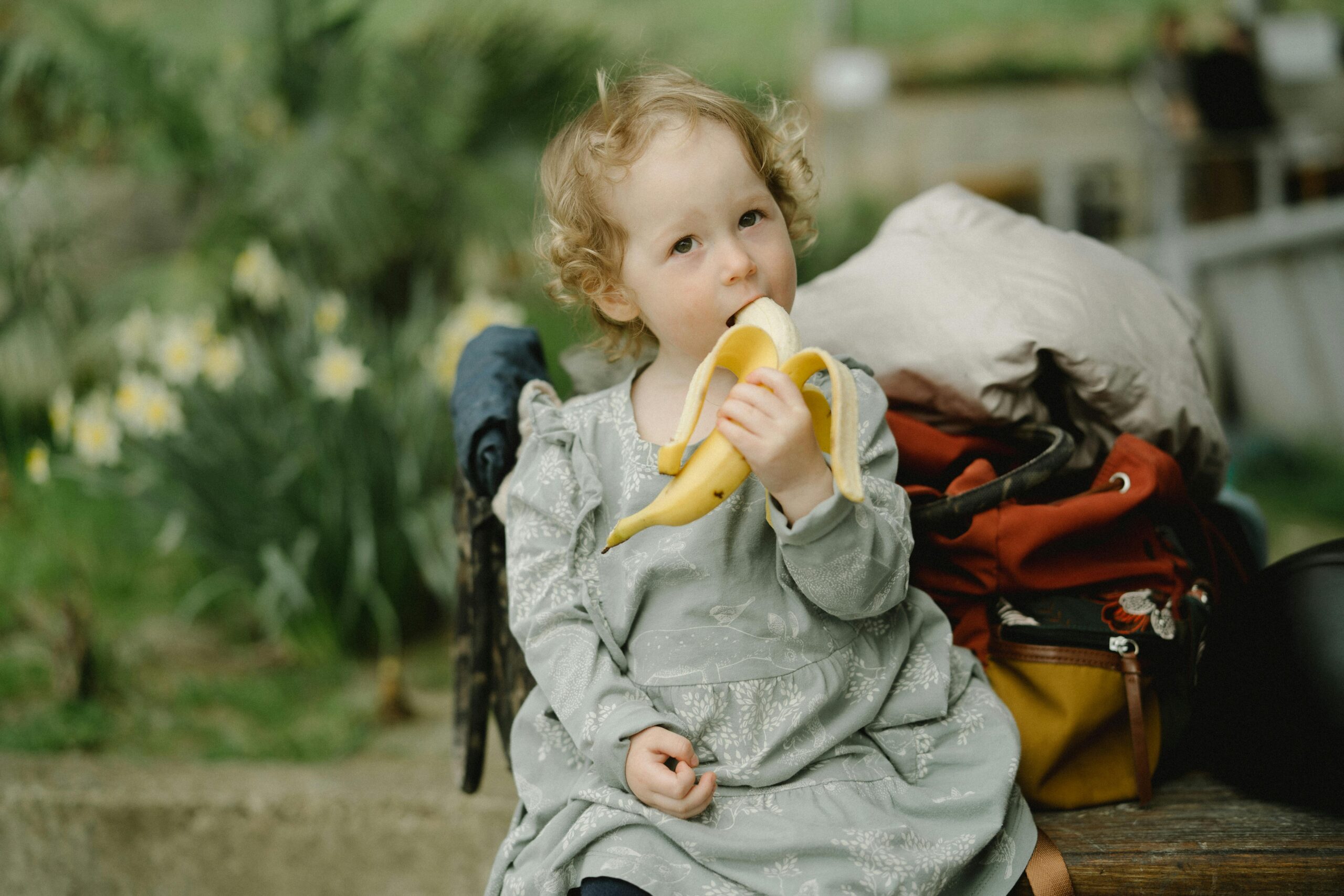 Healthy Eating Habits for Toddlers